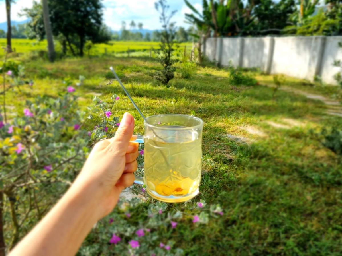 Katie'S Homestay Dong My Dış mekan fotoğraf